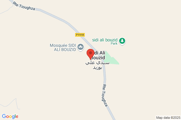 ALi Bouzid