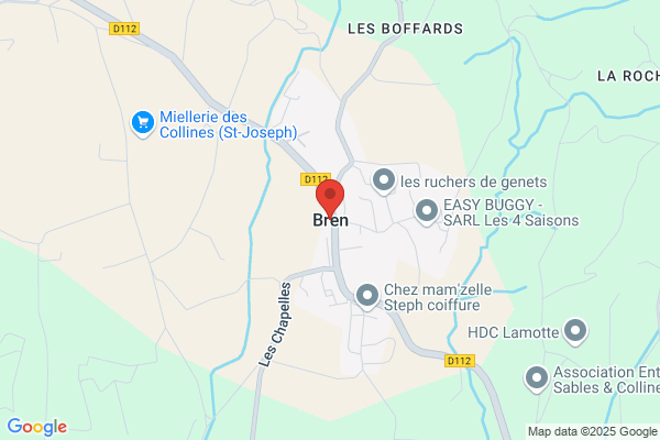 Bären