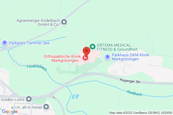 Theo Rostan