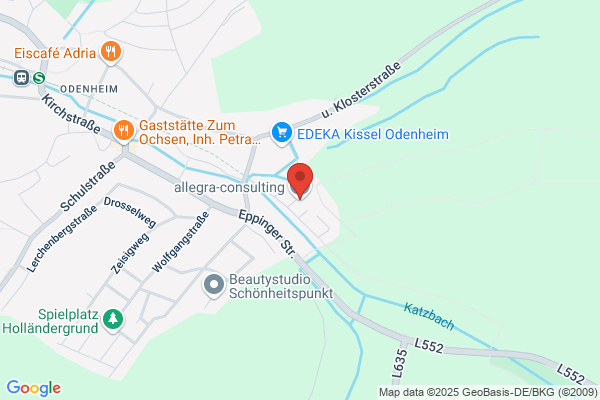Alegra Consulting GmbH