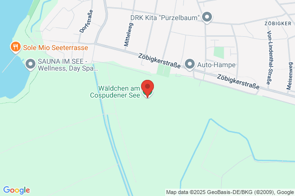 Waldschlümpfe
