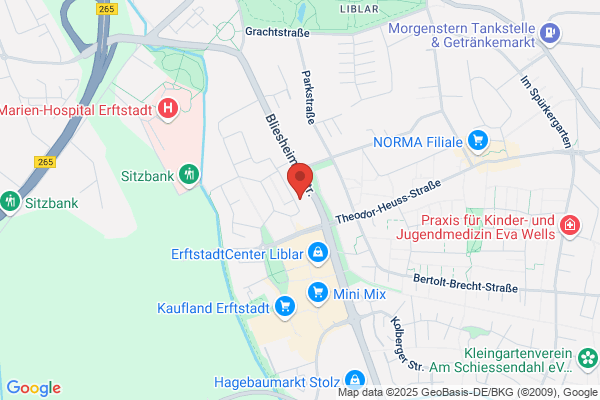 Pacina - RP - Unternehmensberatung