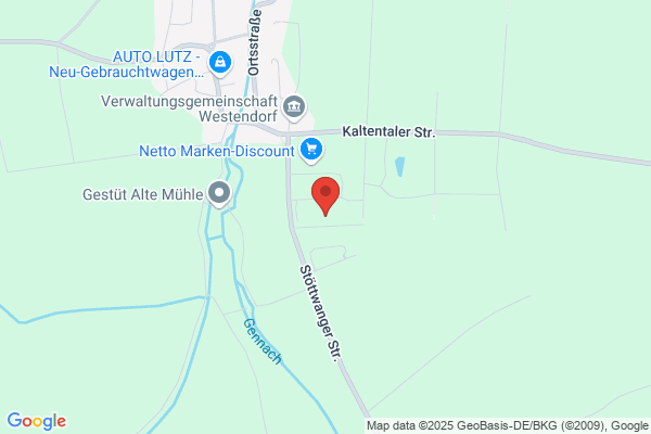 DG Reinigungsservice