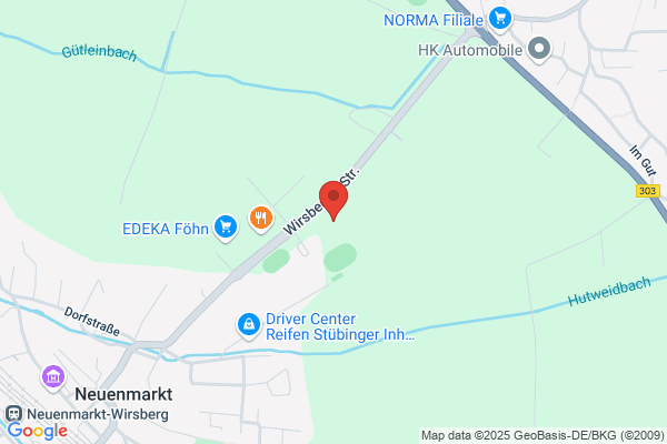 Hundepower auf 4 Pfoten