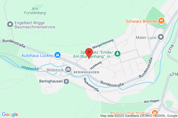ForstdienstBz. Marsberg