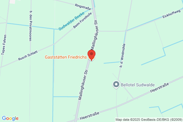 Friedhelm Friedrichs