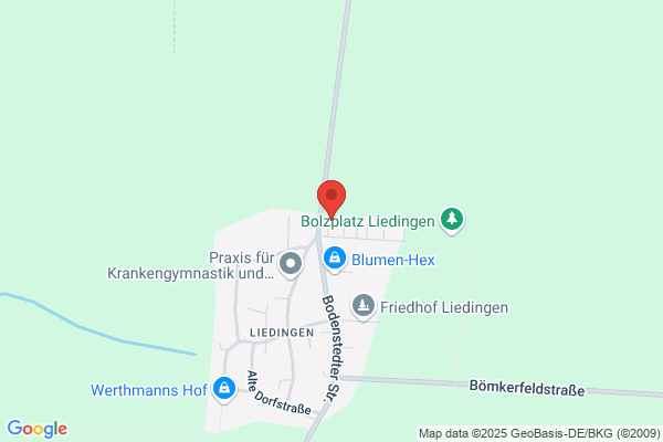 BSP GmbH