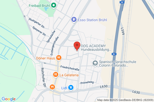 DogBalance - Indoor-Hundeschule