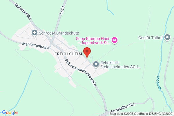 Essig Elektronikservice