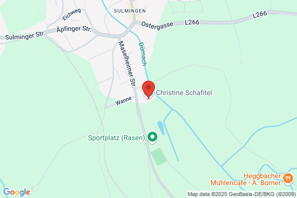 Elke Pfaffenlehner