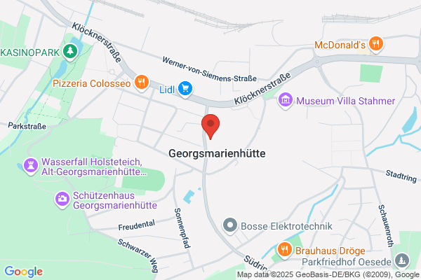 Net WIS Ges. f. Netzwerk-, Web- u. Informations-Service