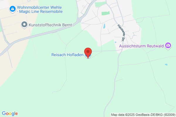 Reisach Erdbeeren