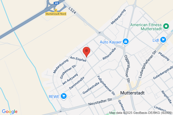 Thamerus Elektrotechnik GmbH