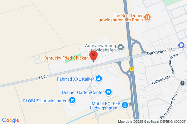 Kentucky Fried Chicken