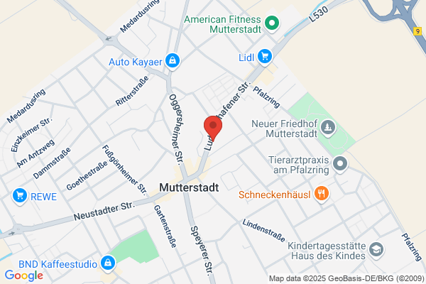 Debeka Servicebüro Mutterstadt (Versicherungen und Bausparen)