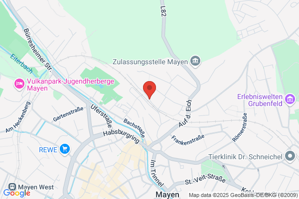 ArvinMeritor GmbH