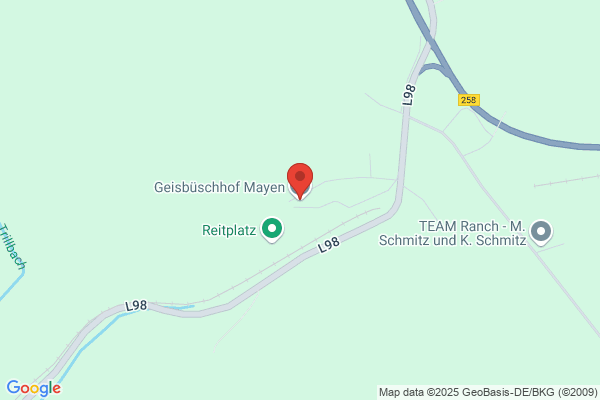 Geisbüsch Günter