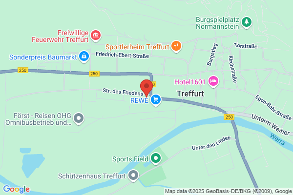 Schnellreinigung Winge