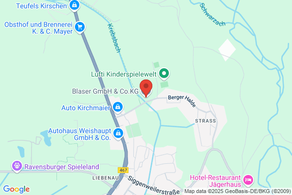 Blaser GmbH & Co. KG