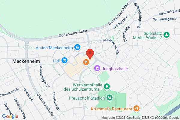 Friese GmbH, B.
