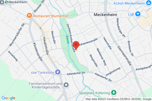 Dr. med. Dagmar Wilsmann-Theis