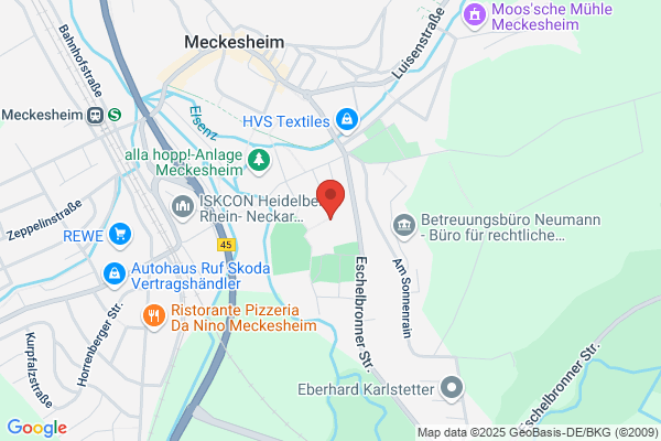 Auwiesenhalle Meckesheim