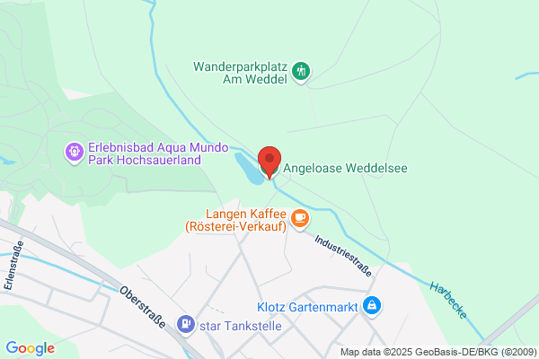 Angeloase Weddelsee