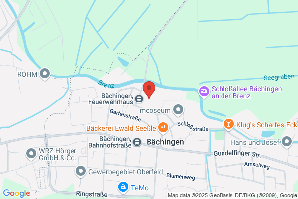 VfB