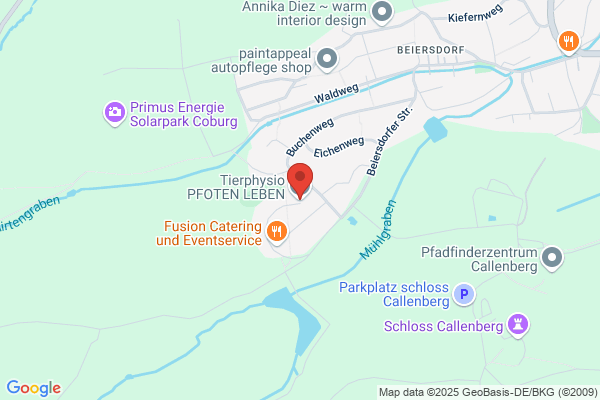 Tierphysiotherapie Pfoten LEBEN