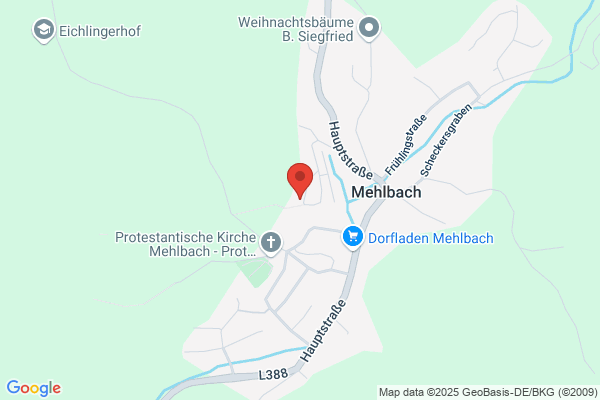 MM Management Kaiserslautern