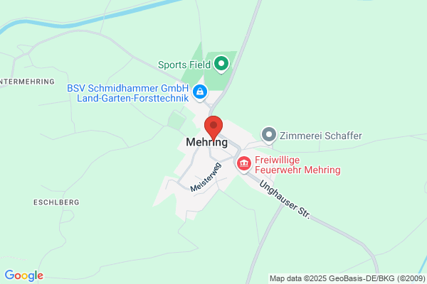 Mehring