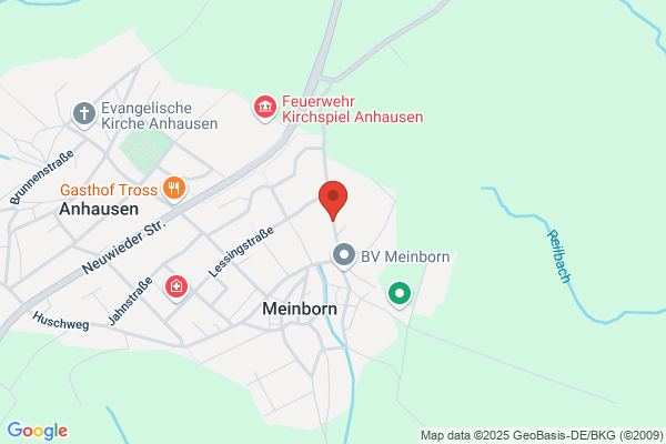 Rüdiger Liesch