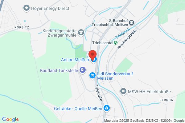 Blumen Wiedow im Kaufland Triebischtal