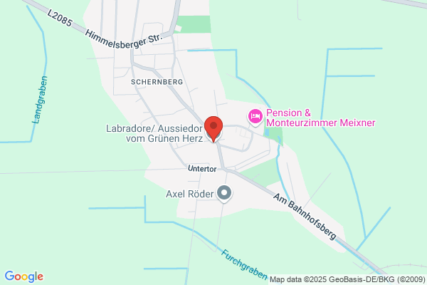 Hundezucht