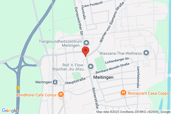 Primo Pizza Service