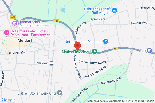 Laenser, Niemand u. Todt