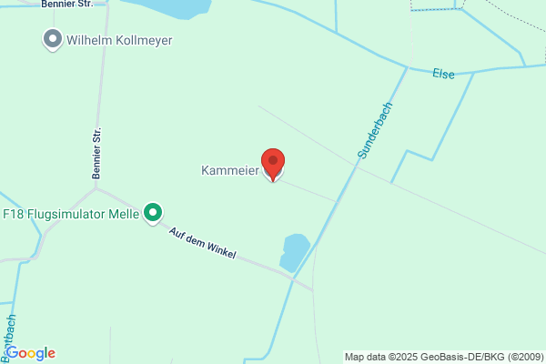 Heinz Kammeier