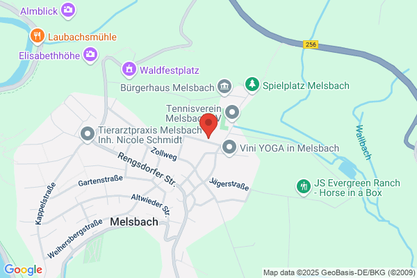 Saberschinsky
