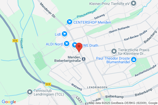 Ergotherapeutische Praxis Norrenbrock Therapie-System GmbH