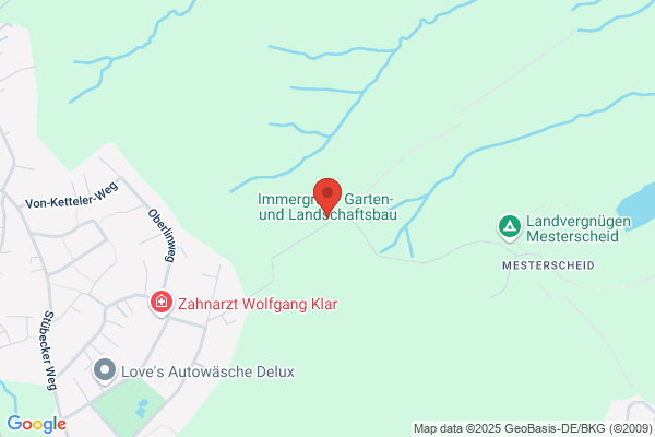 Immergrün Pool- und Gartenbau