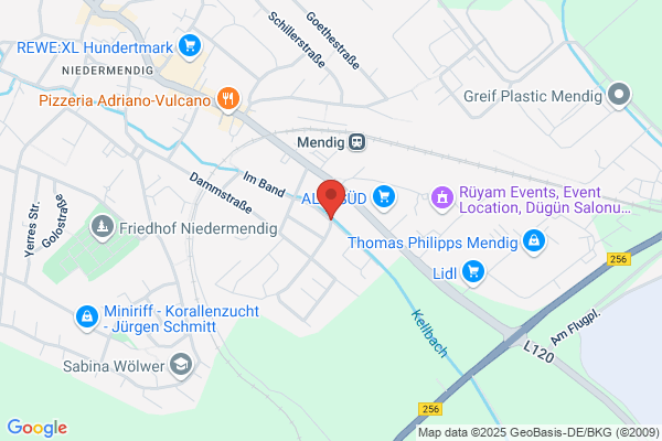 ArvinMeritor GmbH