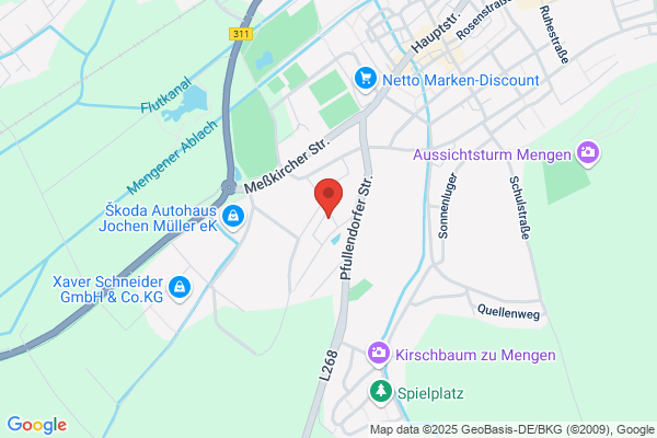 ERP - Beratung