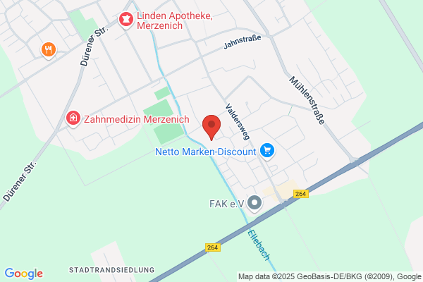 Merzenich