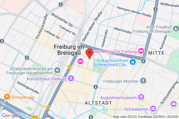 Hotel Minerva Freiburg