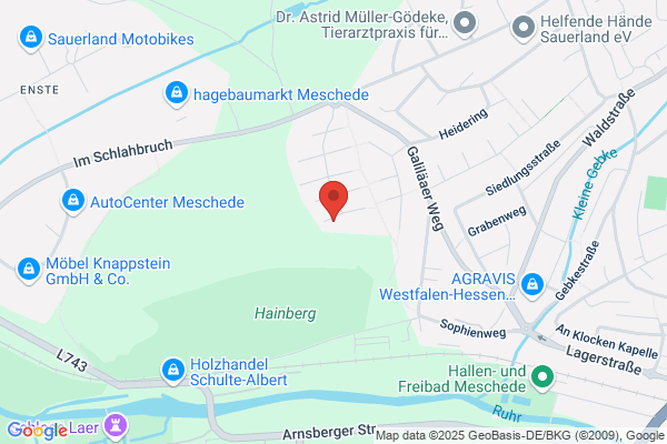 HONSEL Consult GmbH