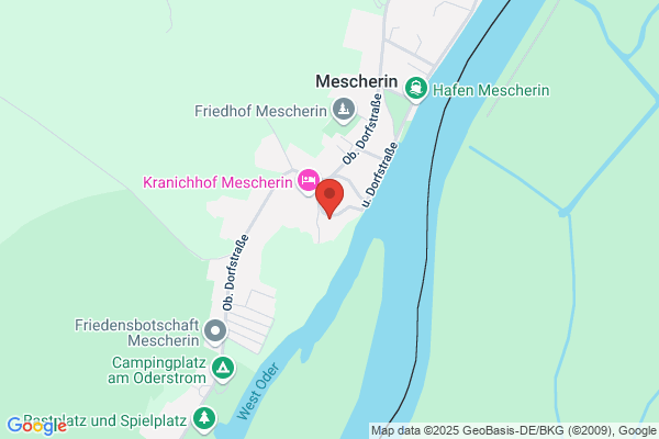 Engel Versicherungsvertreterin