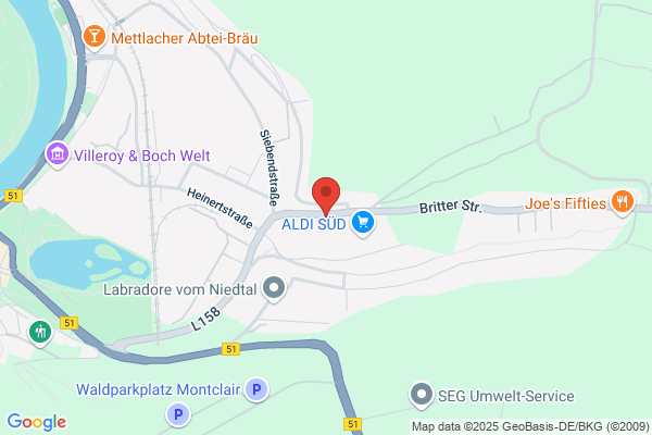 Spielkönig Antz Automaten GmbH