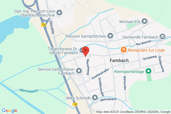 Kachelofen-  Kaminbau Leifer