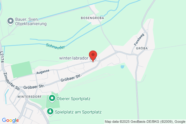 winter-labrador