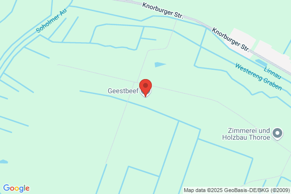 Geest
